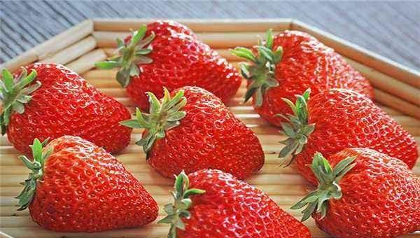 含维c水果前十名