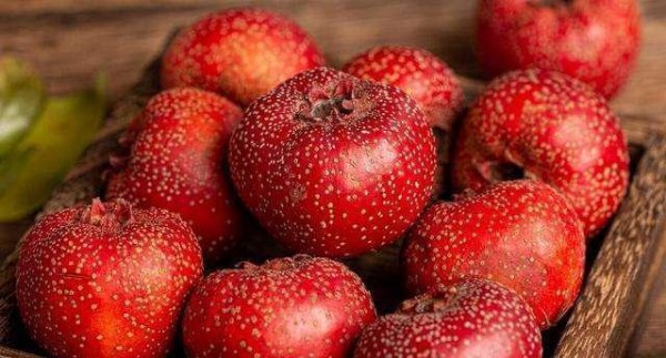 含维c水果前十名