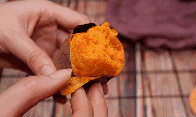 红薯和地瓜是一个东西吗