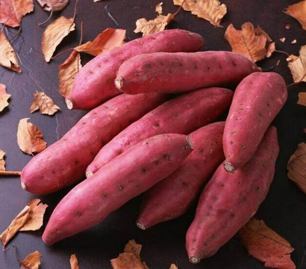 红薯和地瓜是一个东西吗