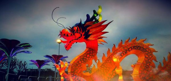 地球深海里真的有龙存在吗