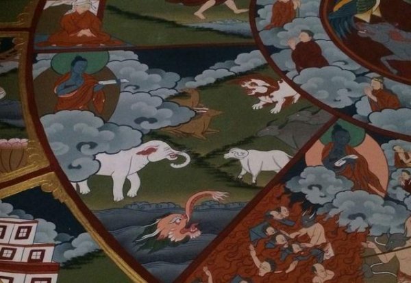 地球深海里真的有龙存在吗