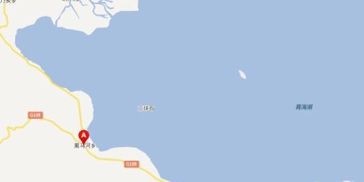 地球深海里真的有龙存在吗