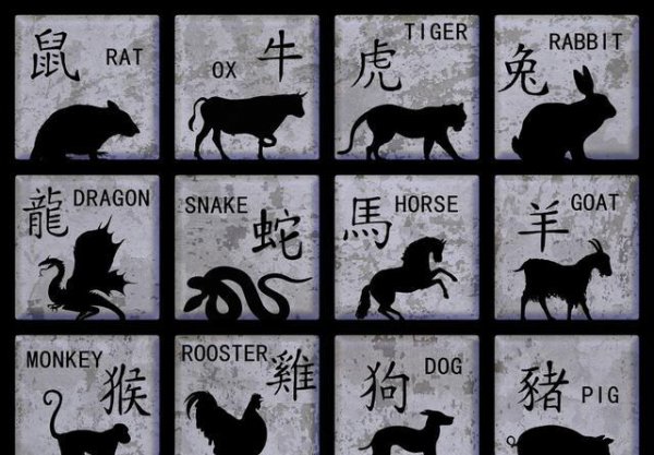 地球深海里真的有龙存在吗