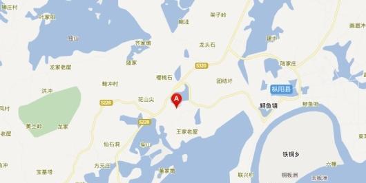 地球深海里真的有龙存在吗