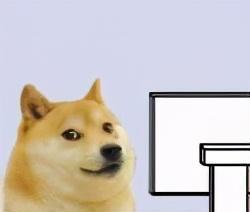 单条16g和双8g差距大吗