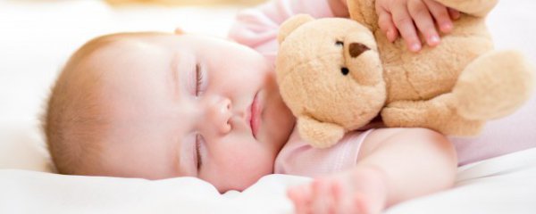 狗宝宝几月出生最好命