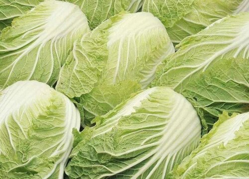 白菜帮怎么腌制又简单又好吃