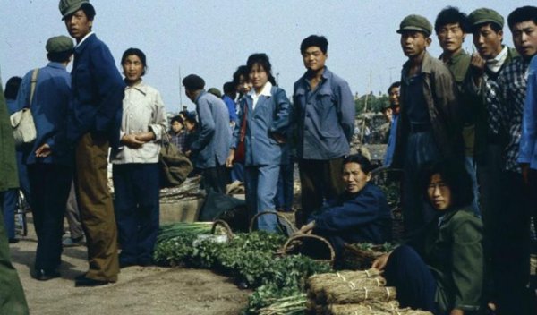 营口市有几个区县