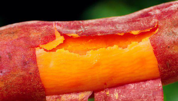 蒸红薯一般要蒸多少分钟