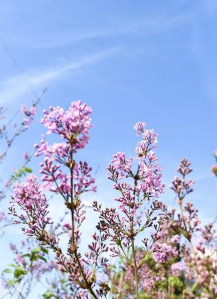 频繁换头像的男生是什么心理