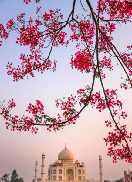 频繁换头像的男生是什么心理