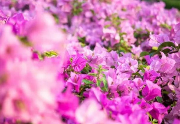 频繁换头像的男生是什么心理