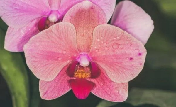 频繁换头像的男生是什么心理