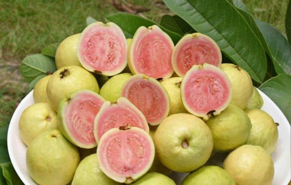 什么水果营养价值最高