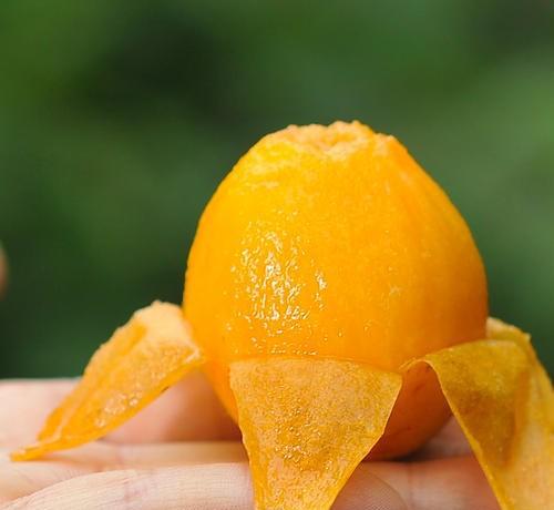 什么水果营养价值最高