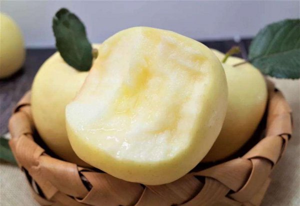 什么水果营养价值最高