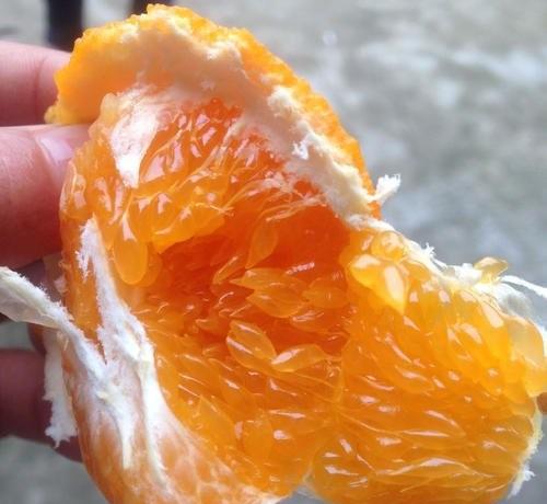 什么水果营养价值最高