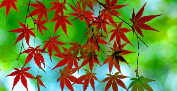 谁才是金牛座的灵魂伴侣