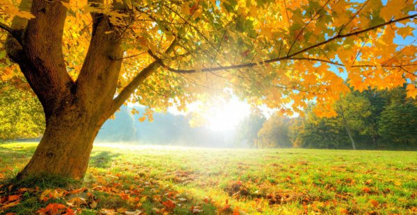 谁才是金牛座的灵魂伴侣