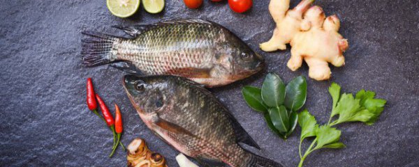 潮汕罗非鱼红烧好吃又简单