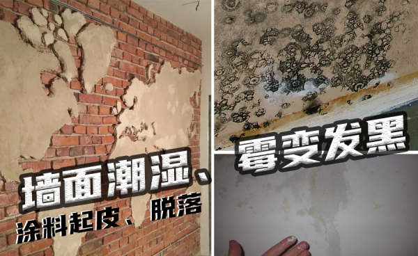 墙面发霉的原因及其处理方式