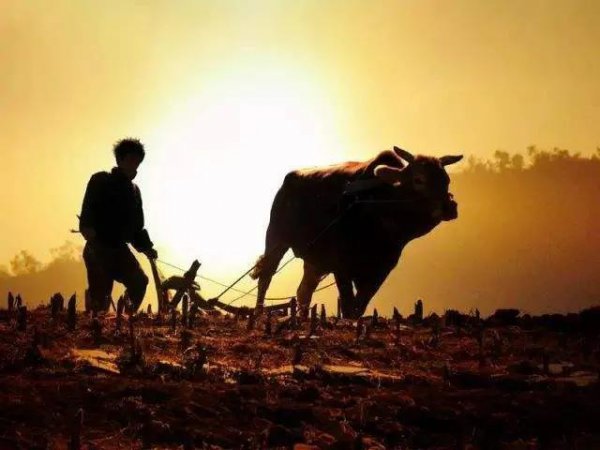 女怕午时生什么意思