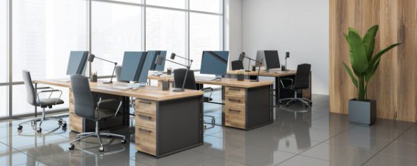 办公桌上摆什么植物