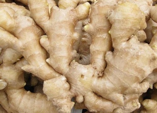 刚挖出来的姜怎样才能放得久一点