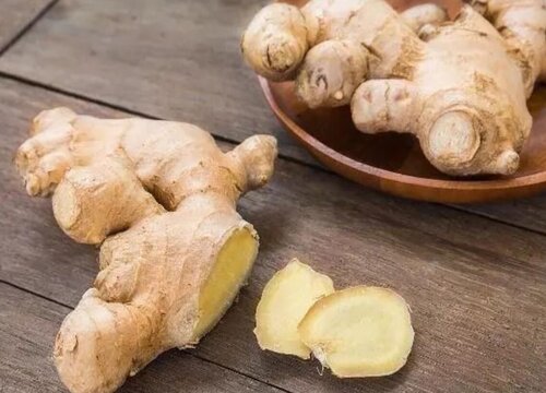 刚挖出来的姜怎样才能放得久一点