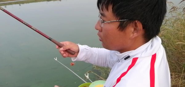 钓白条鱼如何调漂