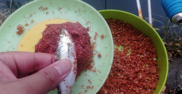 钓白条鱼如何调漂