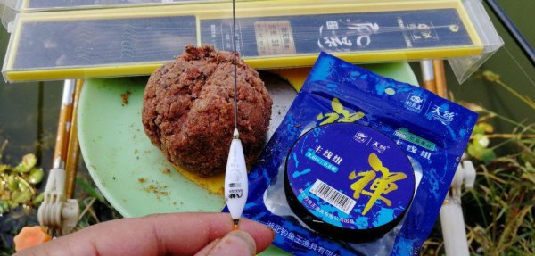 钓白条鱼如何调漂