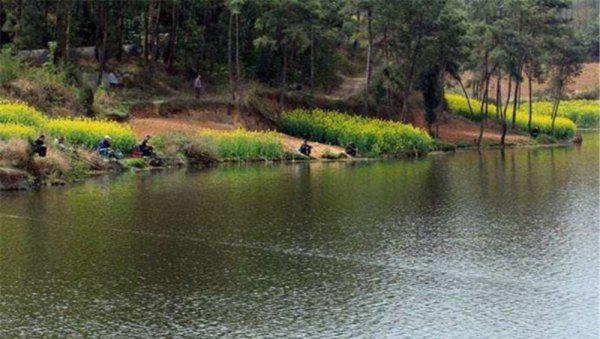 钓鱼什么风向好钓