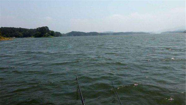 钓鱼什么风向好钓