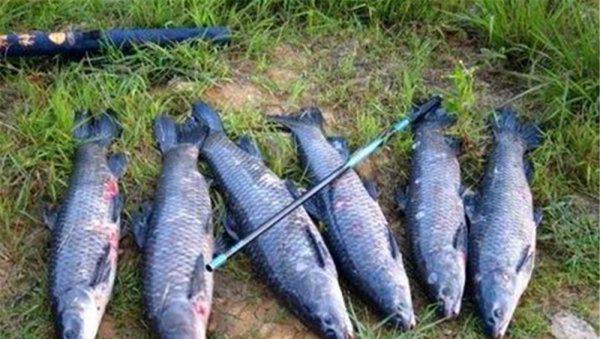 钓鱼什么风向好钓