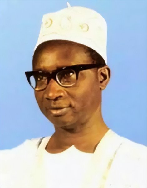 冈比亚是什么梗