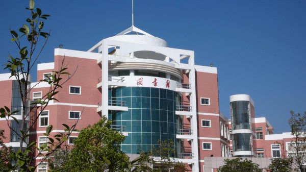 云南财经大学什么档次