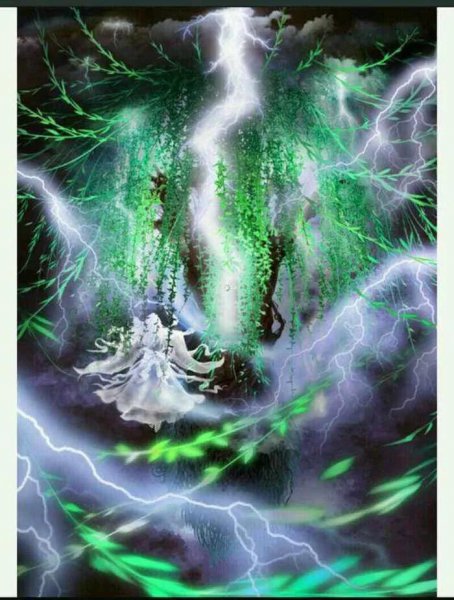 完美世界里的是什么身份