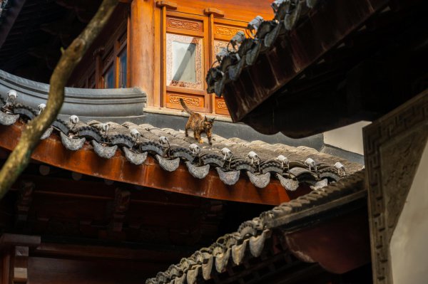 寒山寺在苏州什么地方