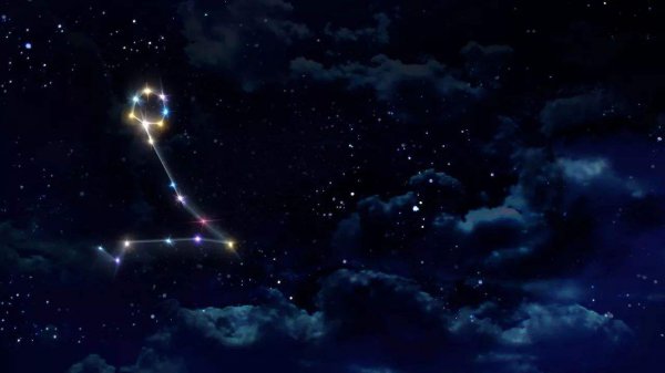 摩羯爱上双鱼的表现