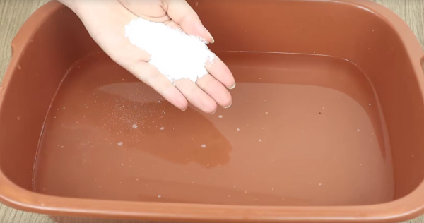 怎样杀蟑螂最有效最彻底