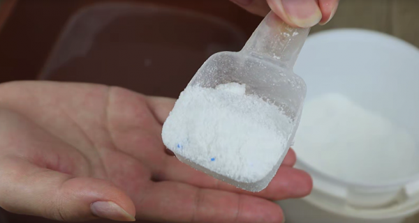 怎样杀蟑螂最有效最彻底