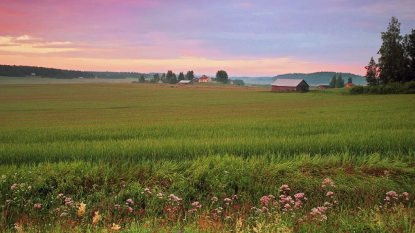 十二星座黑化后谁最可怕排名