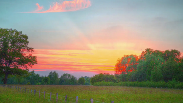 十二星座黑化后谁最可怕排名