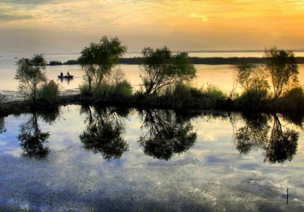 衡水市属于哪个省市