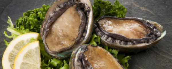 家常鲍鱼的烹饪方法