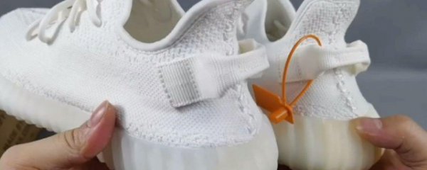 椰子怎么鉴别真假