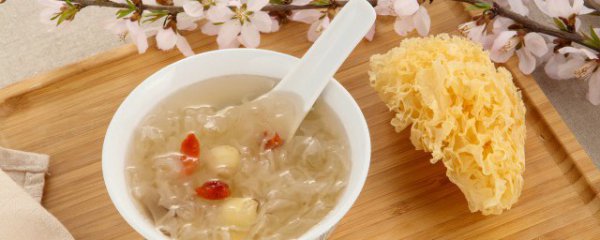 新鲜银耳煮水怎么做