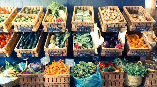 适合腊月做的几种小生意